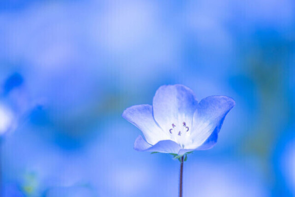 ✨おはようございます✨