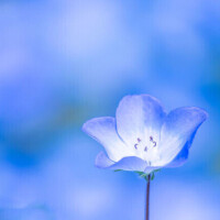 ✨おはようございます✨