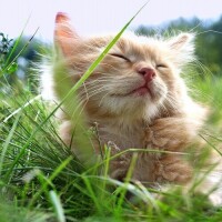 ✨おはようございます✨