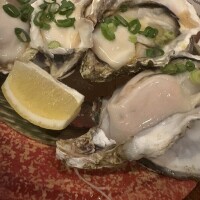 (日)夕方からラスト🤗