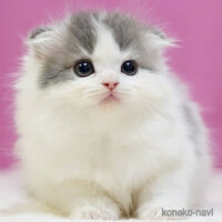 ✨おはようございます✨