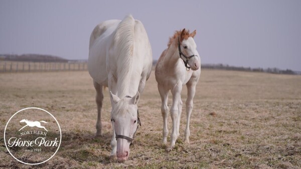 ✨出勤しました✨