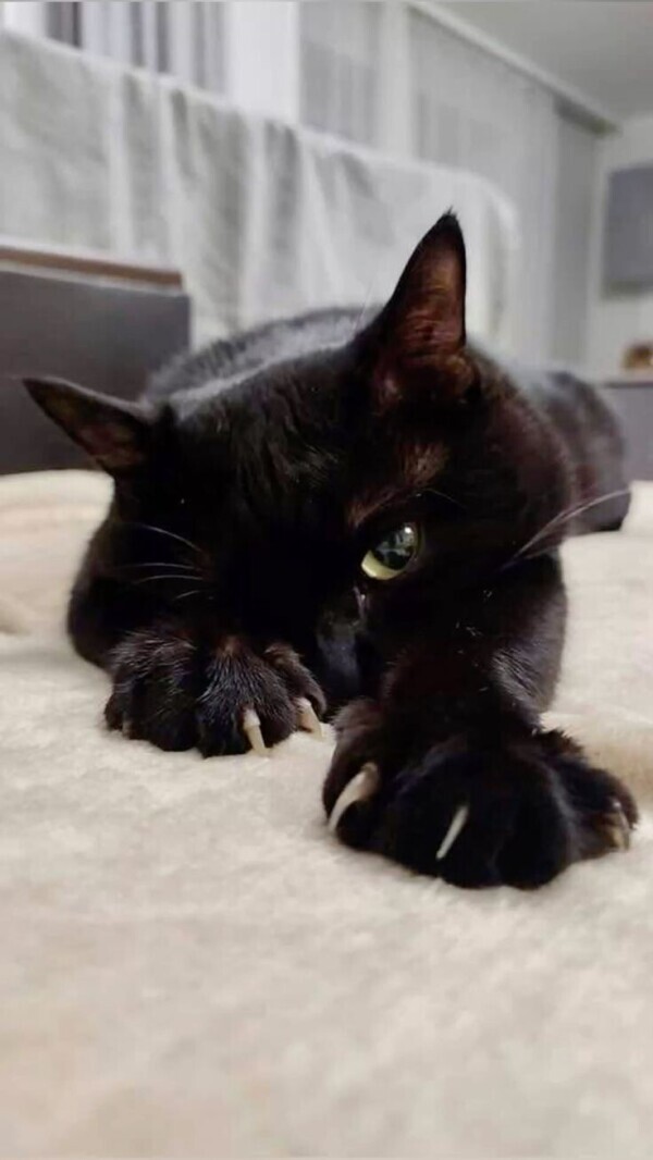 出勤しました☀