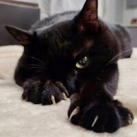 出勤しました☀