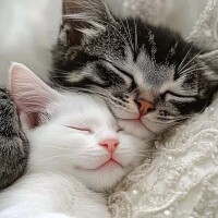 出勤しました😸