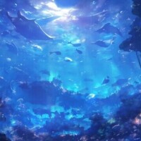 ✨本日もありがとうございました✨