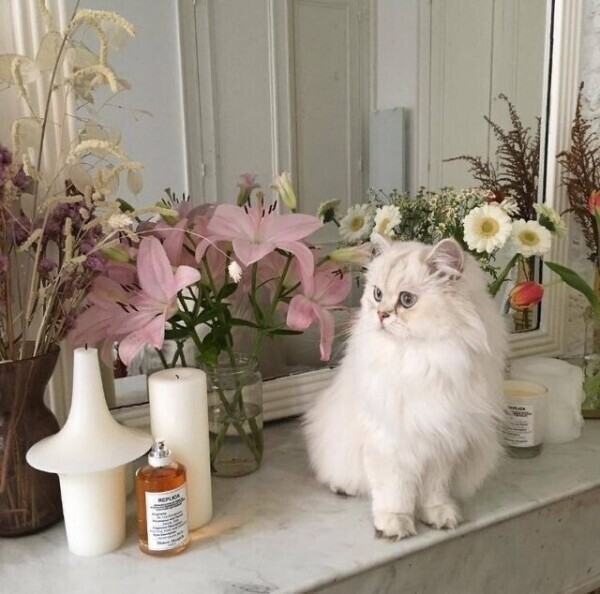 出勤しました☺︎