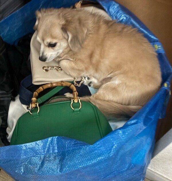 かわい子ちゃん🤭✨