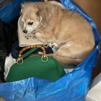 かわい子ちゃん🤭✨