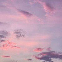 ❤︎次回出勤19日(木)❤︎