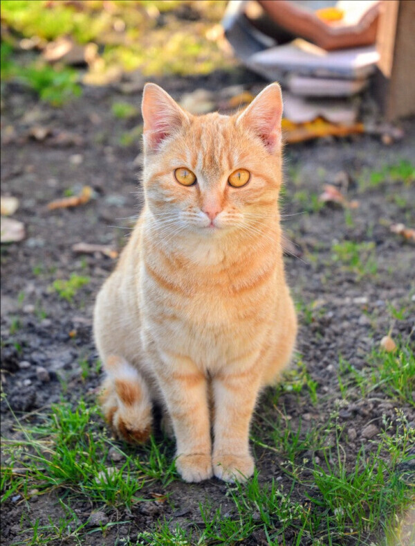✨出勤しました✨