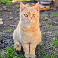 ✨出勤しました✨