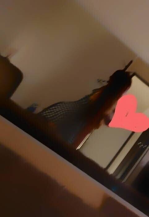 ✨🪷夕方から🪷✨