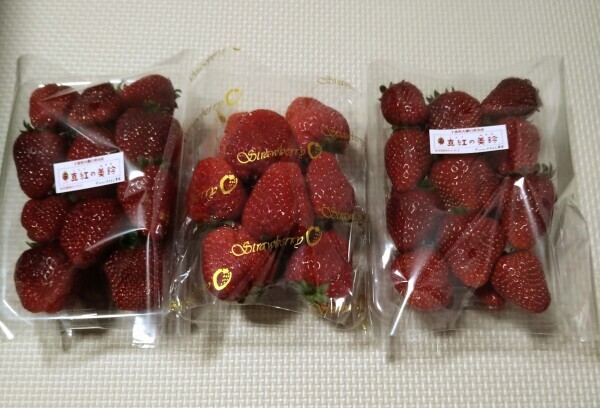 半休だったし🍓