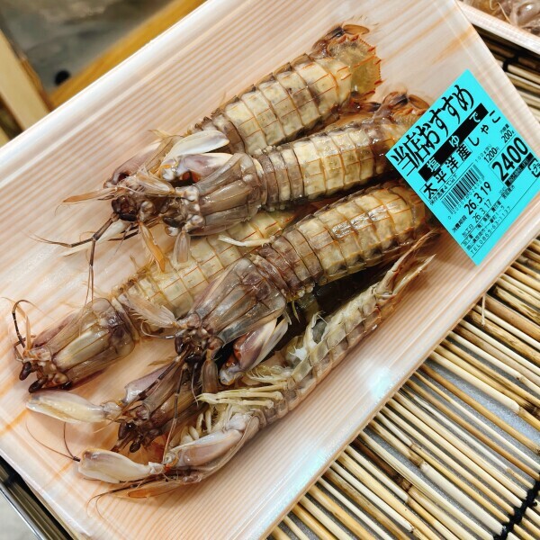 千葉では見た事ないかも👀