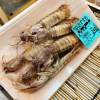 千葉では見た事ないかも👀