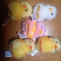 ぴよりーな🐥