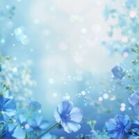 ✨おはようございます✨