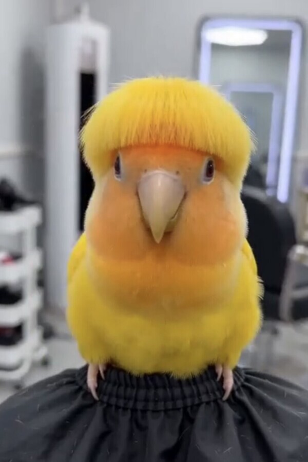 おはよꕤ︎︎·͜·