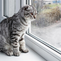 朝から夕方まで✨