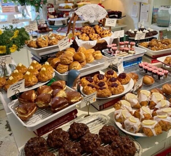 ✨🪷3月17日🪷✨