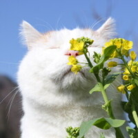 ✨おはようございます✨