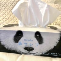 (*´︶`*)♡Thanks!