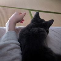 おはようございます！