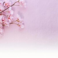 ありがとうございました♥️