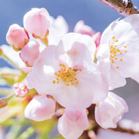 ✨出勤しました✨