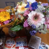 おはようございます☀️