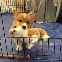 ✨おはようございます✨