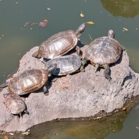 出勤しました☀