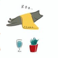 本日はお休みです。