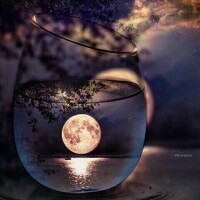 ありがとうございました✨