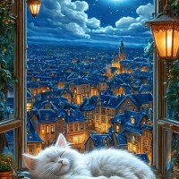 お疲れ様でした🌃