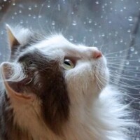 ✨出勤しました✨