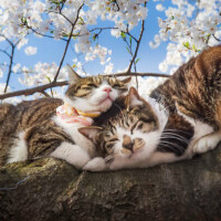 ✨おはようございます✨