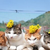 ✨本日まだまだ空きがございます🤗