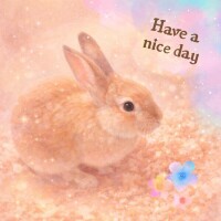 のんびり過ごしましょ🍀