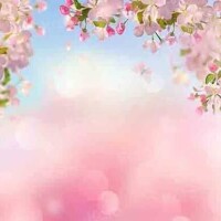 火曜日お休みです🙏