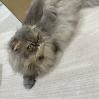 お休み終わり🔚