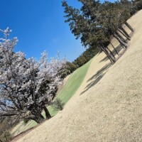 ✨🪷3月21日🪷✨