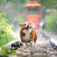 今週はラストです🌸