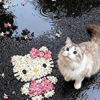 お休み1日目☂️