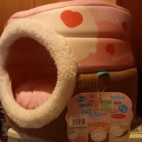 ハウス😹🏠️✨