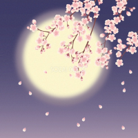 おやすみなさい🌛