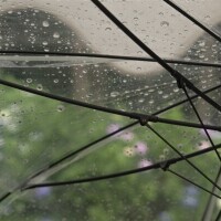 おはようございます！