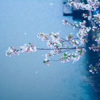 早番出勤です🎶