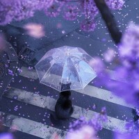 お休み2日目☂️